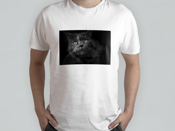 T-shirts with printed image
