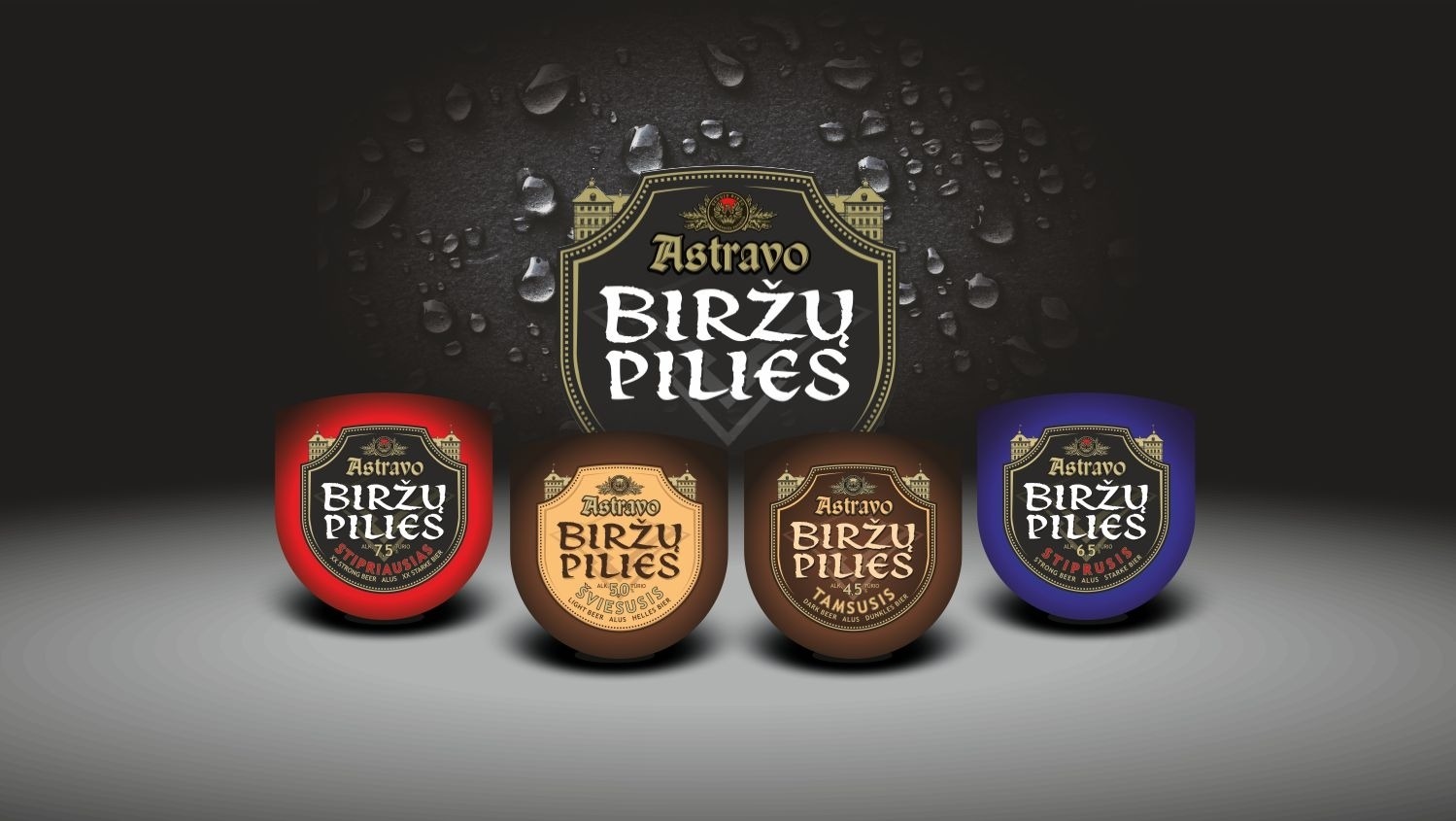 Read more about the article Biržų pilies